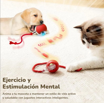 Juguete interactivo para mascotas