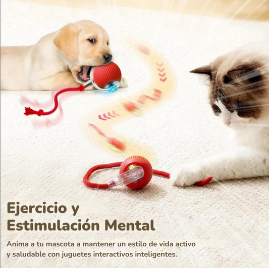 Juguete interactivo para mascotas