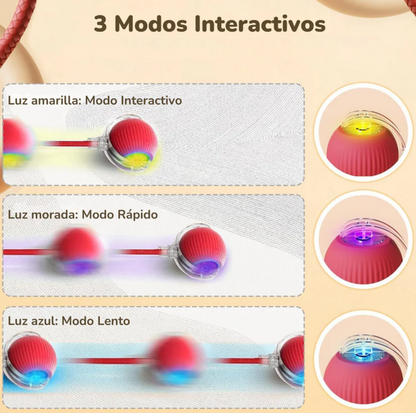 Juguete interactivo para mascotas