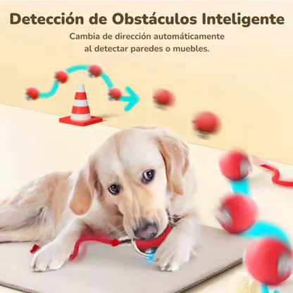 Juguete interactivo para mascotas